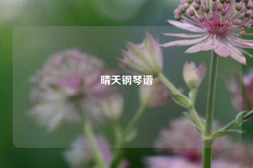 晴天钢琴谱