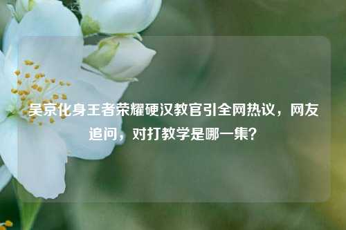 吴京化身王者荣耀硬汉教官引全网热议，网友追问，对打教学是哪一集？