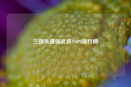 三国杀最强武将TOP5排行榜