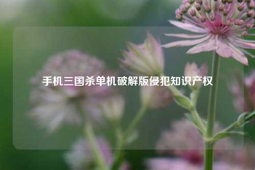 手机三国杀单机破解版侵犯知识产权