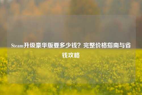 Steam升级豪华版要多少钱？完整价格指南与省钱攻略