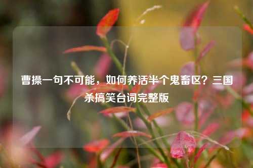 曹操一句不可能，如何养活半个鬼畜区？三国杀搞笑台词完整版