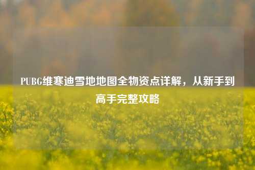 PUBG维寒迪雪地地图全物资点详解，从新手到高手完整攻略