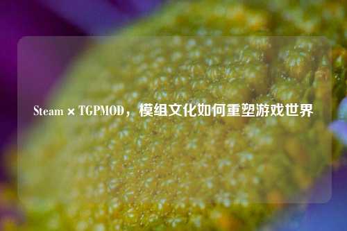 Steam×TGPMOD，模组文化如何重塑游戏世界