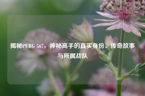 揭秘PUBG 567，神秘高手的真实身份、传奇故事与所属战队