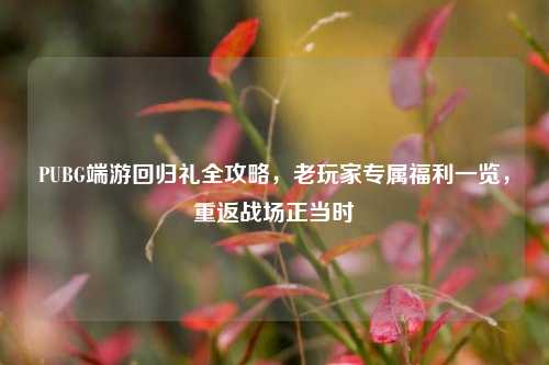PUBG端游回归礼全攻略，老玩家专属福利一览，重返战场正当时