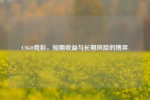 CSGO竞彩，短期收益与长期风险的博弈