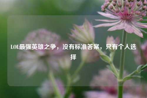 LOL最强英雄之争，没有标准答案，只有个人选择