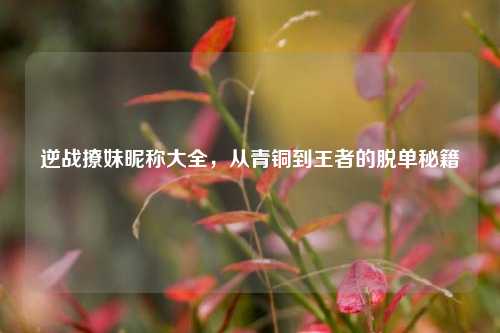 逆战撩妹昵称大全，从青铜到王者的脱单秘籍