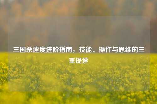三国杀速度进阶指南，技能、操作与思维的三重提速