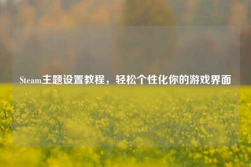 Steam主题设置教程，轻松个性化你的游戏界面