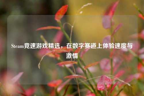 Steam竞速游戏精选，在数字赛道上体验速度与激情