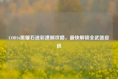 COD16黑曜石迷彩速刷攻略，最快解锁全武器皮肤