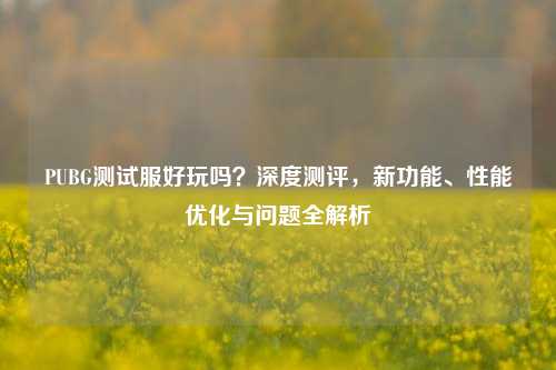 PUBG测试服好玩吗？深度测评，新功能、性能优化与问题全解析