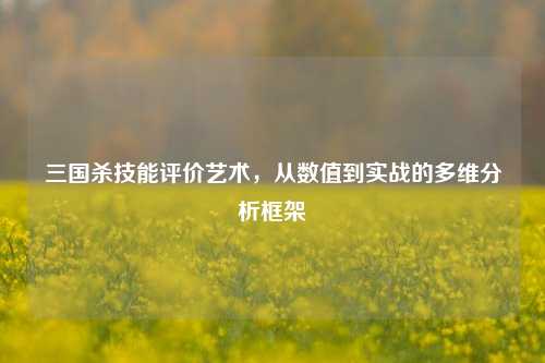 三国杀技能评价艺术，从数值到实战的多维分析框架