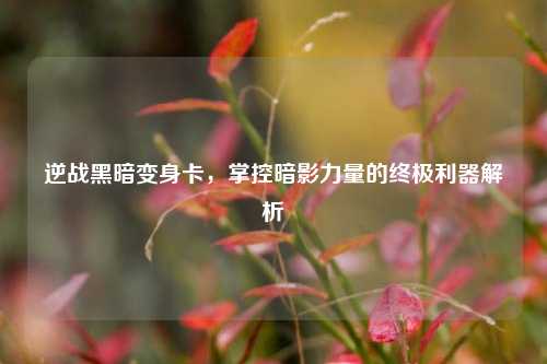 逆战黑暗变身卡，掌控暗影力量的终极利器解析