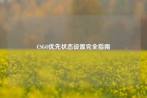CSGO优先状态设置完全指南