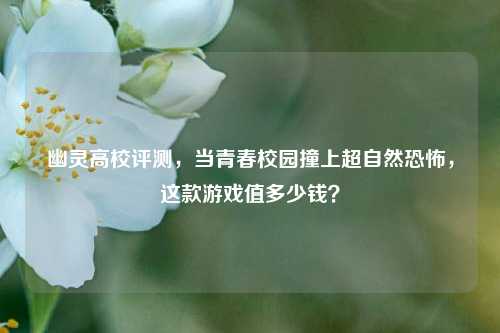 幽灵高校评测，当青春校园撞上超自然恐怖，这款游戏值多少钱？