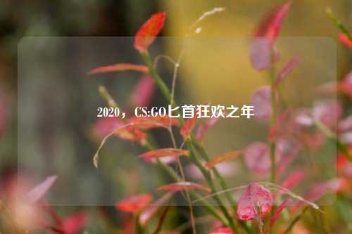 2020，CS:GO匕首狂欢之年