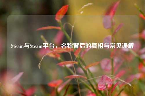 Steam与Steam平台，名称背后的真相与常见误解