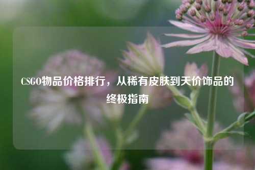 CSGO物品价格排行，从稀有皮肤到天价饰品的终极指南