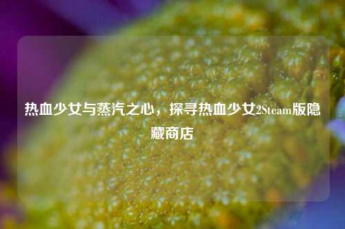 热血少女与蒸汽之心，探寻热血少女2Steam版隐藏商店