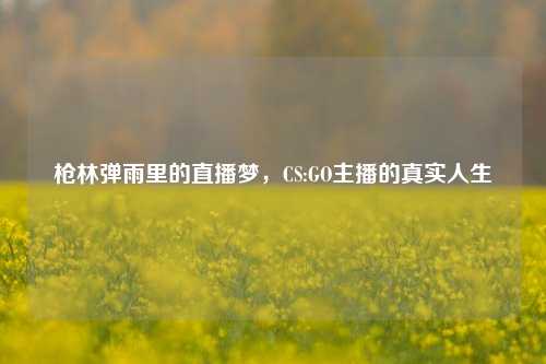 枪林弹雨里的直播梦，CS:GO主播的真实人生
