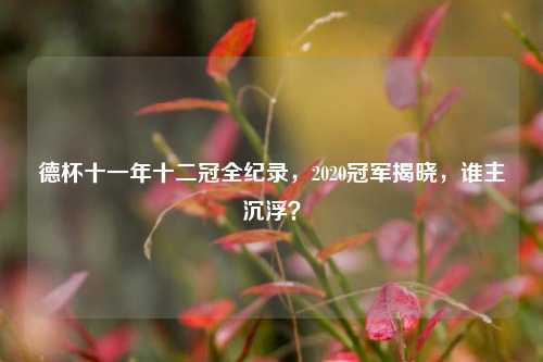 德杯十一年十二冠全纪录，2020冠军揭晓，谁主沉浮？