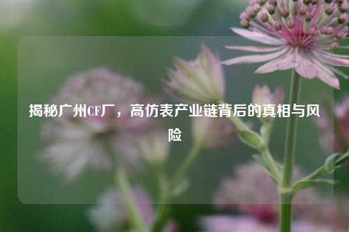 揭秘广州CF厂，高仿表产业链背后的真相与风险