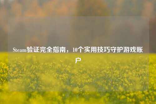 Steam验证完全指南，10个实用技巧守护游戏账户