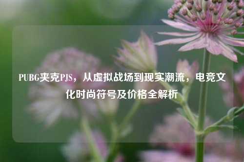 PUBG夹克PJS，从虚拟战场到现实潮流，电竞文化时尚符号及价格全解析