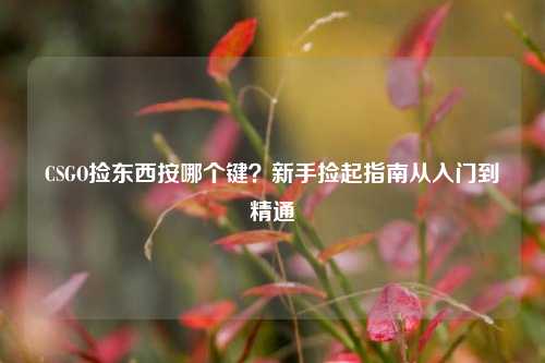 CSGO捡东西按哪个键？新手捡起指南从入门到精通