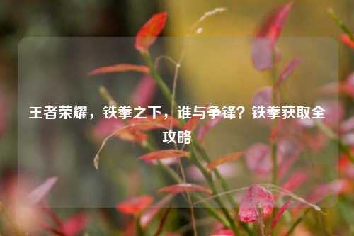 王者荣耀，铁拳之下，谁与争锋？铁拳获取全攻略