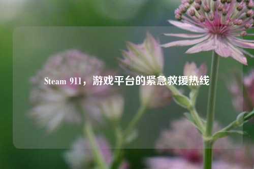 Steam 911，游戏平台的紧急救援热线