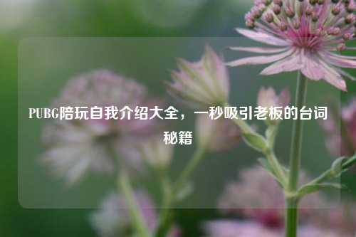 PUBG陪玩自我介绍大全，一秒吸引老板的台词秘籍
