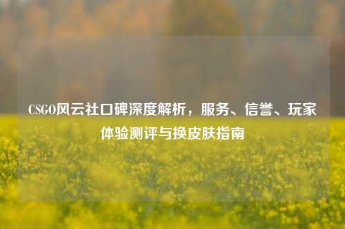 CSGO风云社口碑深度解析，服务、信誉、玩家体验测评与换皮肤指南