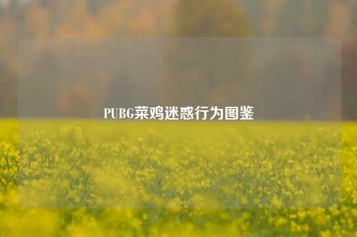 PUBG菜鸡迷惑行为图鉴