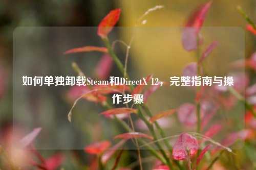 如何单独卸载Steam和DirectX 12，完整指南与操作步骤