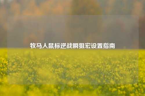 牧马人鼠标逆战瞬狙宏设置指南
