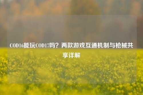 COD16能玩COD17吗？两款游戏互通机制与枪械共享详解