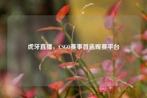 虎牙直播，CSGO赛事首选观赛平台