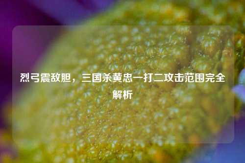 烈弓震敌胆，三国杀黄忠一打二攻击范围完全解析