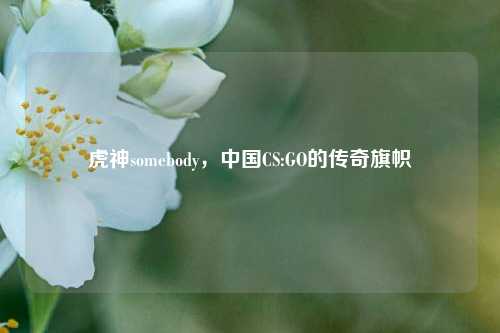 虎神somebody，中国CS:GO的传奇旗帜
