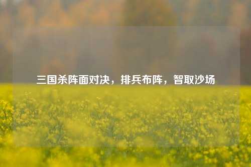 三国杀阵面对决，排兵布阵，智取沙场