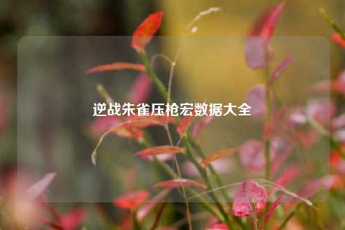 逆战朱雀压枪宏数据大全