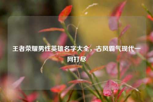 王者荣耀男性英雄名字大全，古风霸气现代一网打尽