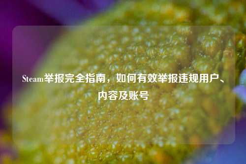 Steam举报完全指南，如何有效举报违规用户、内容及账号