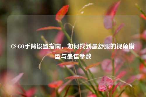 CS:GO手臂设置指南，如何找到最舒服的视角模型与最佳参数