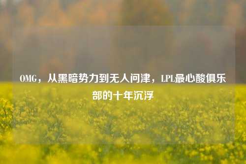 OMG，从黑暗势力到无人问津，LPL最心酸俱乐部的十年沉浮