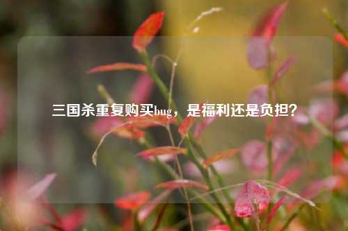 三国杀重复购买bug，是福利还是负担？